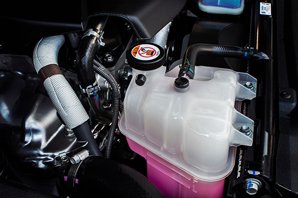 Everything You Need to Know About The Coolant Flush | Olympic Transmissions & Auto Care